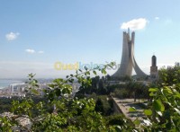 الجزائر-وسط-إدارة-مكتبية-و-أنترنت-interprète-accompagnatrice