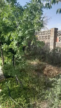 Vente Terrain Agricole Bordj Bou Arreridj Ras el oued
