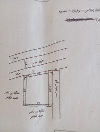 terrain-vente-bordj-bou-arreridj-mansoura-algerie