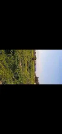 Vente Terrain Blida Boufarik