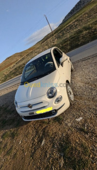 voitures-fiat-2024-500dz-blida-algerie