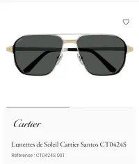  Cartier Santos 