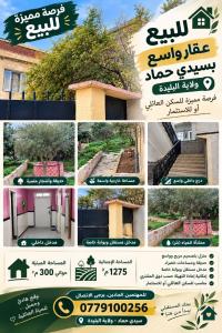 land-sell-blida-meftah-algeria