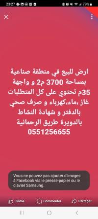 terrain-vente-alger-douera-algerie