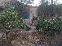 آخر-بيع-عقار-تلمسان-عين-يوسف-الجزائر
