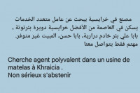 agents-polyvalents-agent-polyvalent-manutentionnaire-عامل-متعدد-المهام-khraissia-alger-algerie