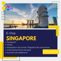 E-VISA SINGAPOUR 