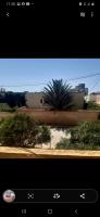 appartement-vente-f5-alger-ain-benian-algerie