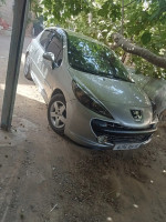 citadine-peugeot-207-2009-boumerdes-algerie