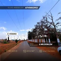 Vente Terrain Oran Oran