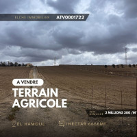 terrain-agricole-vente-oran-el-kerma-algerie