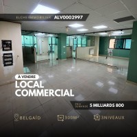 commercial-sell-oran-bir-el-djir-algeria