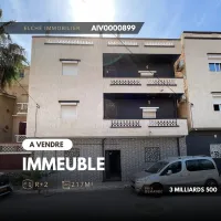 Vente Immeuble Oran Ain el turck