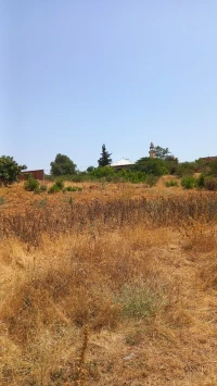 Vente Terrain Medea Medea