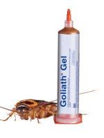 منتجات-النظافة-goliath-gel-anti-cafards-blattes-بوزريعة-الجزائر