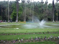 alger-centre-algerie-services-electricien