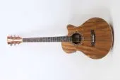 guitare armonias elctro aquoustique