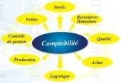 Commissaire aux comptes comptable agré