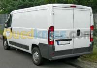 الجزائر-الرغاية-خدمات-transport-marchandises-livreur