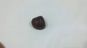 Chocolat Pour divers occasions