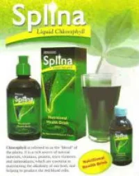 SPLINA CHLOROPHYLLE LIQUIDE