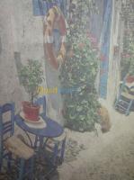 alger-cheraga-algerie-services-fourniture-et-pose