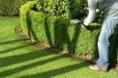 jardinage