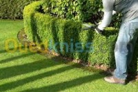 الجزائر-وسط-خدمات-jardinage