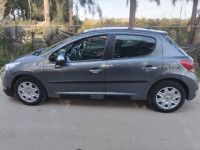 voitures-peugeot-207-2010-active-tipaza-algerie