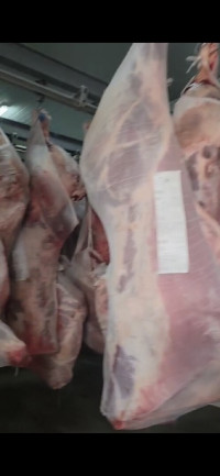 viandes-poissons-vente-de-viande-bovine-importation-tizi-ouzou-algerie