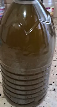 Huiles  olives 
