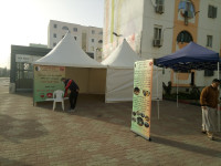 evenements-divertissement-location-chapiteau-ben-aknoun-alger-algerie