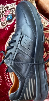 chaussure pour hommes Rockport original des états-unis Grande taille seulement