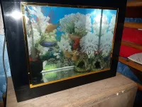 Aquarium plasma 60cm avec Poissons cycledis et accessoires comp