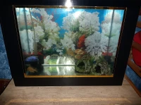 Aquarium plasma 60cm avec 2 couples Poissons cycledis at accessoires 