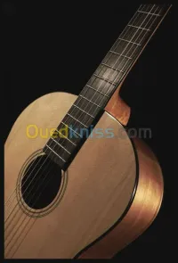 guitareclassique fender esc_105
