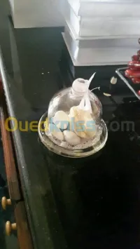 location sale avec diner