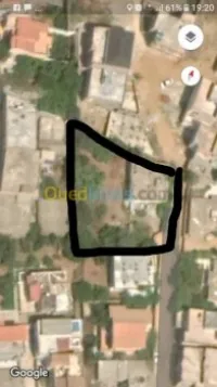 Vente Terrain Alger Douera