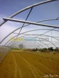 agriculture