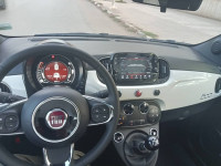 voitures-fiat-500-club-2024-sidi-bel-abbes-algerie