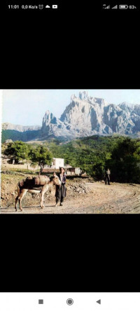 terrain-vente-tizi-ouzou-algerie