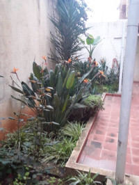 appartement-location-f3-alger-el-achour-algerie