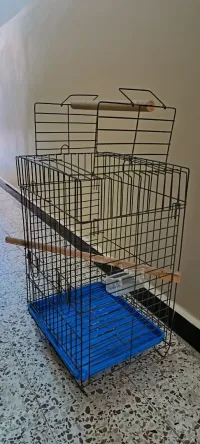 Cage perroquet 