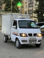 camion-dfm-frigo-2010-ain-naadja-alger-algerie