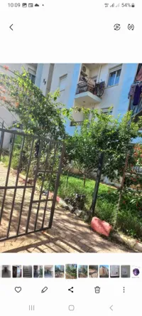 Location Appartement F4 Tipaza Kolea