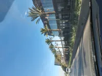 Vente Hangar Alger Dar el beida
