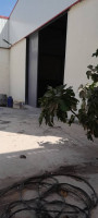 hangar-location-alger-les-eucalyptus-algerie