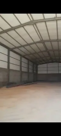 Location Hangar Alger Les eucalyptus