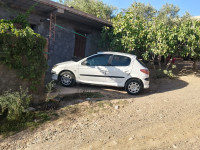 voitures-peugeot-206-2008-laghouat-algerie