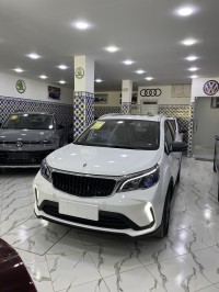 سيارات-livan-x3-pro-2025-automatique-toit-العلمة-سطيف-الجزائر